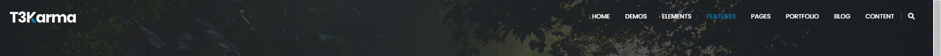 Full Width Transparent Dark Full Width Transparent Dark